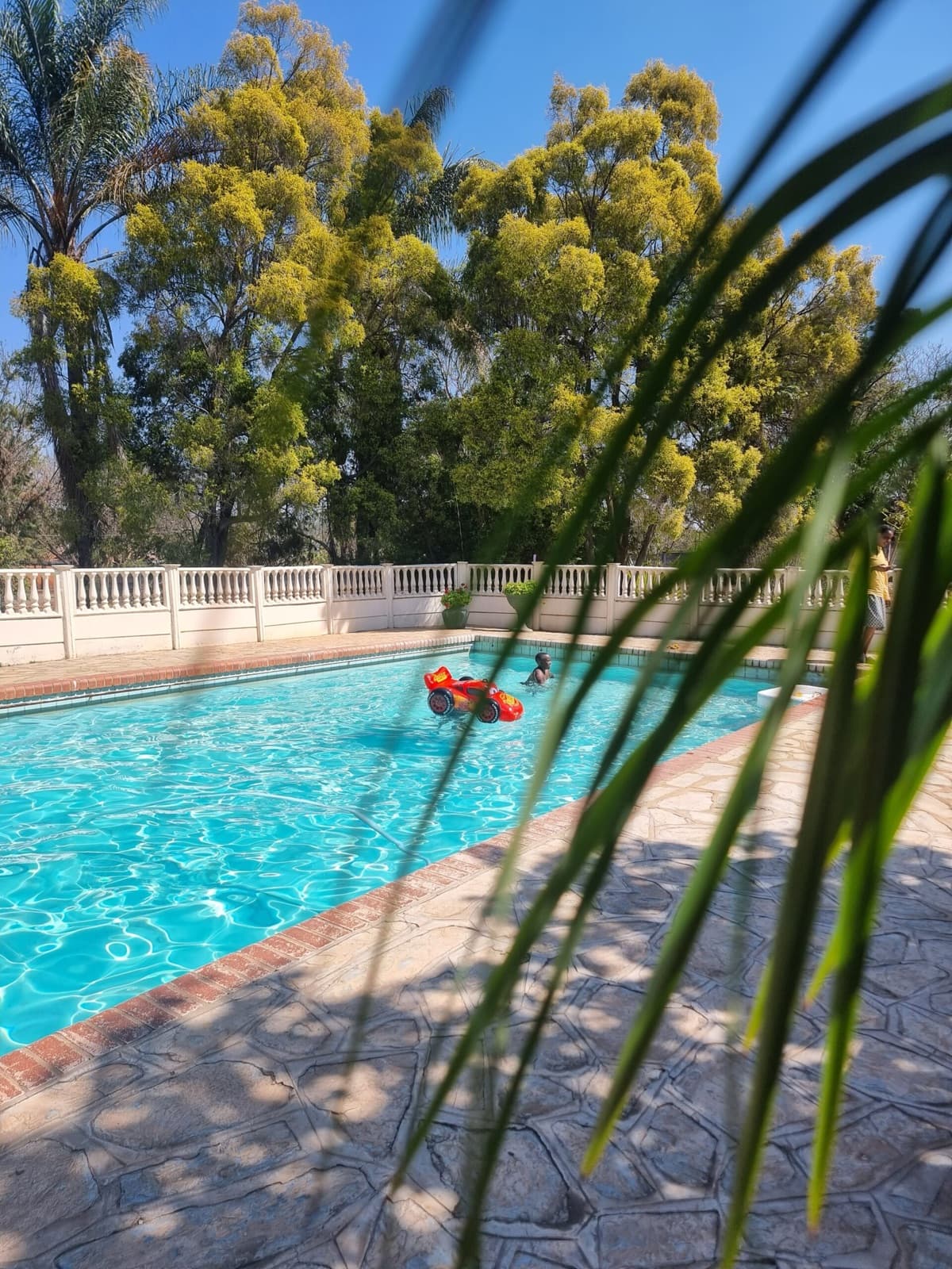 The swimming pool at Villa Thabiso on a sunny day